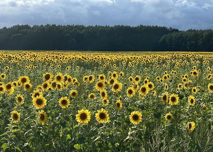 Urlaub Auf Dem Land